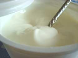 Yogurt detail